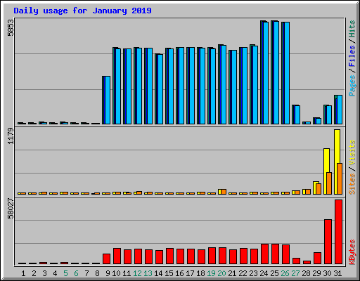 Daily usage for January 2019