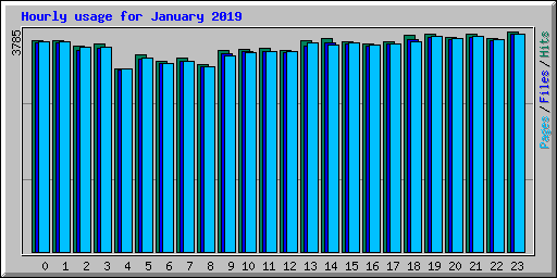 Hourly usage for January 2019